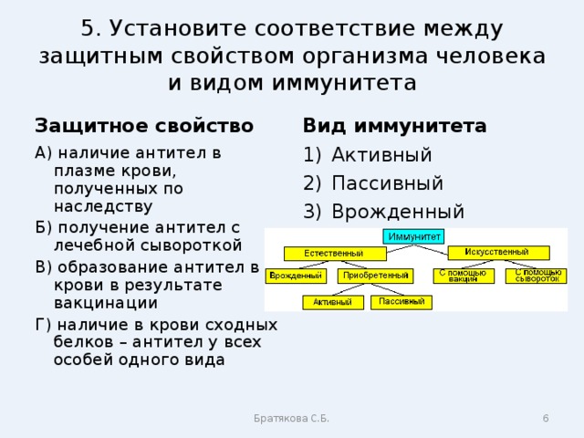 5. Установите соответствие между защитным свойством организма человека и видом иммунитета Защитное свойство Вид иммунитета А) наличие антител в плазме крови, полученных по наследству Б) получение антител с лечебной сывороткой В) образование антител в крови в результате вакцинации Г) наличие в крови сходных белков – антител у всех особей одного вида Активный Пассивный Врожденный Братякова С.Б.  