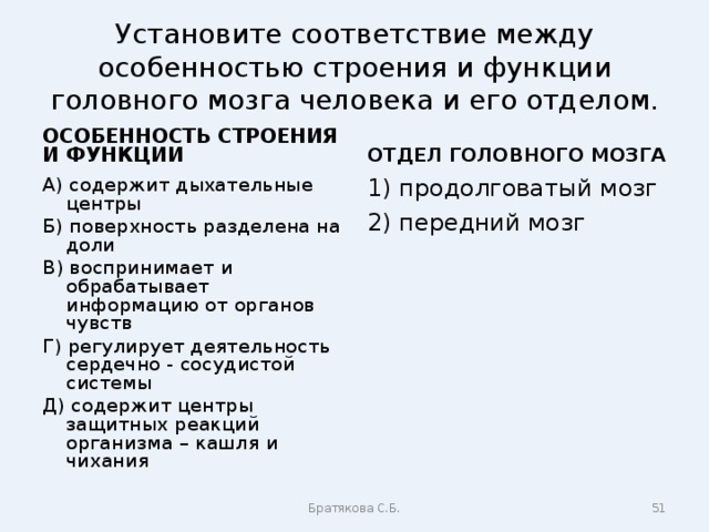 Установите соответствие между особенностями строения