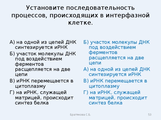 Установите последовательность процессов, происходящих в интерфазной клетке. А) на одной из цепей ДНК синтезируется иРНК Б) участок молекулы ДНК под воздействием ферментов расщепляется на две цепи В) иРНК перемещается в цитоплазму Г) на иРНК, служащей матрицей, происходит синтез белка Б) участок молекулы ДНК под воздействием ферментов расщепляется на две цепи А) на одной из цепей ДНК синтезируется иРНК В) иРНК перемещается в цитоплазму Г) на иРНК, служащей матрицей, происходит синтез белка Братякова С.Б.  