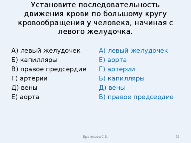 Последовательность движения. Установите последовательность движения крови по большому кругу. Установите последовательность движения крови. Последовательность движения по большому кругу кровообращения. Установите правильную последовательность движения крови,.