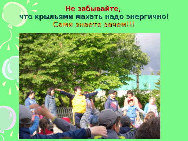 Не забывайте,   что крыльями махать надо энергично!  Сами знаете зачем!!! 