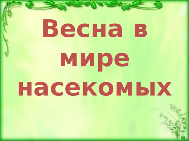 Весна в мире насекомых 