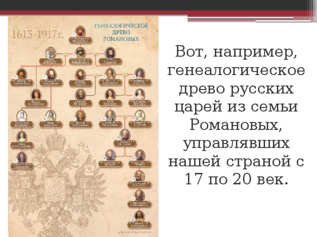Вот, например, генеалогическое древо русских царей из семьи Романовых, управлявших нашей страной с 17 по 20 век. 
