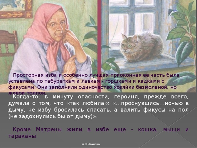  Когда-то, в минуту опасности, героиня, прежде всего, думала о том, что «так любила»: «…проснувшись…ночью в дыму, не избу бросилась спасать, а валить фикусы на пол (не задохнулись бы от дыму)».   Кроме Матрены жили в избе еще - кошка, мыши и тараканы.    Просторная изба и особенно лучшая приоконная ее часть была уставлена по табуреткам и лавкам - горшками и кадками с фикусами. Они заполнили одиночество хозяйки безмолвной, но живой толпой. А.В.Иванова 