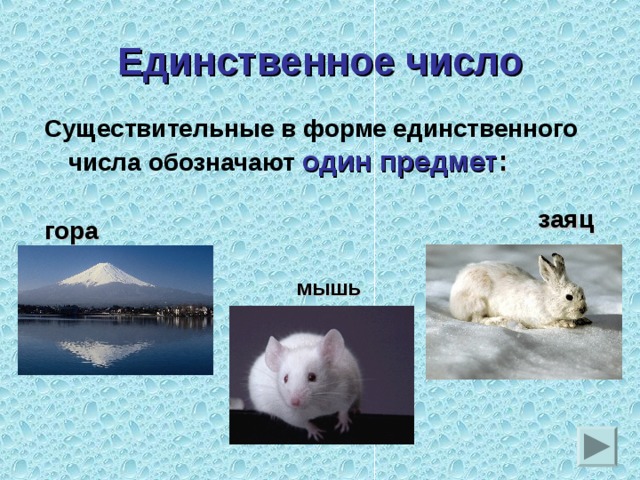 Единственное число Существительные в форме единственного числа обозначают один предмет :  гора заяц мышь 