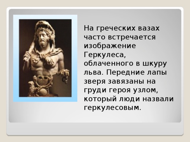 На греческих вазах часто встречается изображение Геркулеса, облаченного в шкуру льва. Передние лапы зверя завязаны на груди героя узлом, который люди назвали геркулесовым.