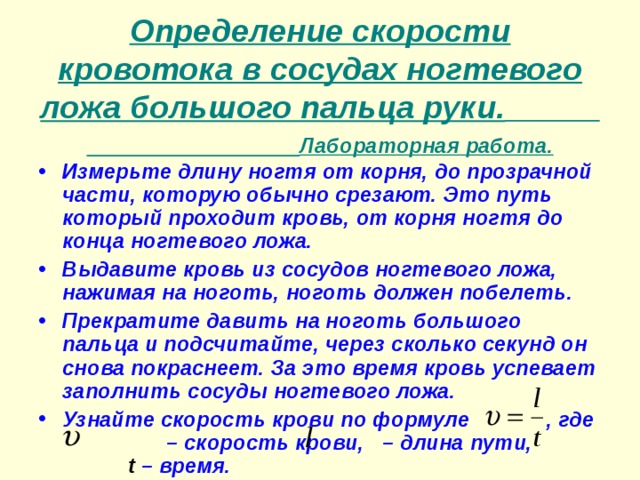 Презентация на тему движение крови по сосудам