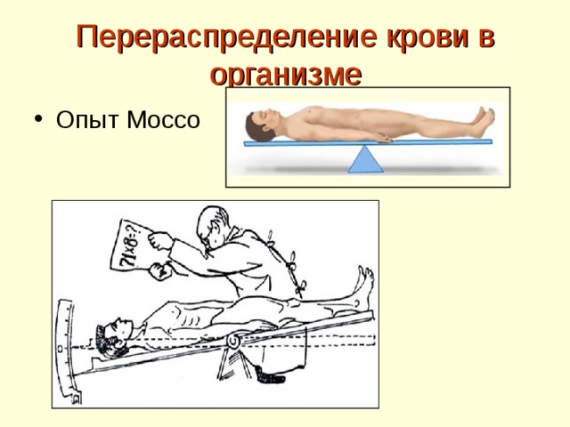 Как можно объяснить результаты опыта моссо кратко