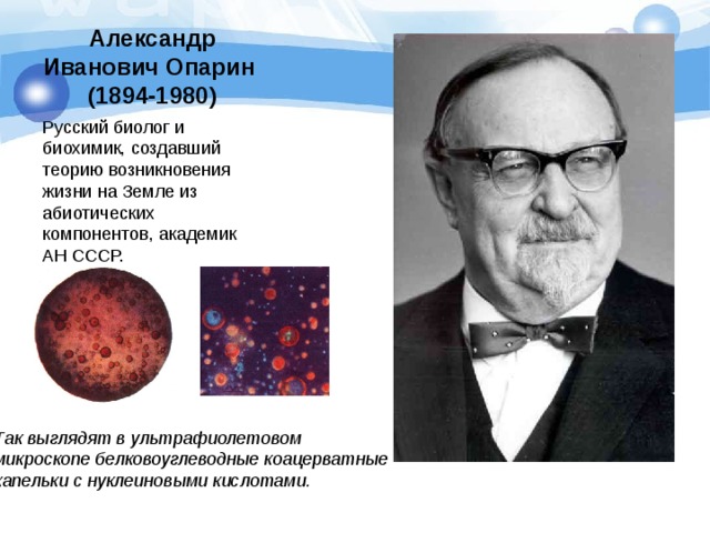 Александр Иванович Опарин  (1894-1980) Русский биолог и биохимик, создавший теорию возникновения жизни на Земле из абиотических компонентов, академик АН СССР. Так выглядят в ультрафиолетовом микроскопе белковоуглеводные коацерватные капельки с нуклеиновыми кислотами. 