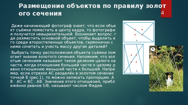 Даже начинающий фотограф знает что если объект съемки поместить в центр кадра то фотография