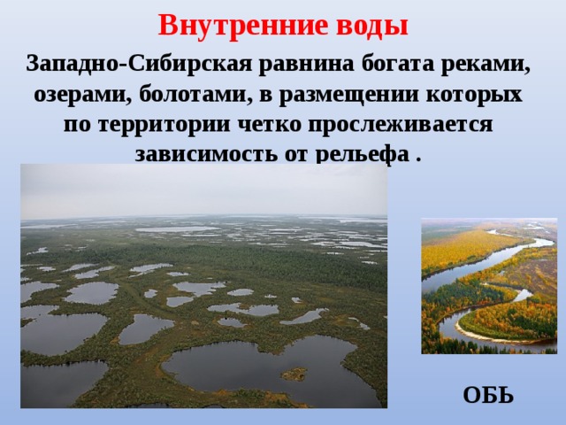 Внутренние воды Западно-Сибирская равнина богата реками, озерами, болотами, в размещении которых по территории четко прослеживается зависимость от рельефа . ОБЬ