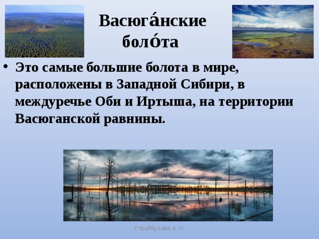 Васюга́нские боло́та Это самые большие болота в мире, расположены в Западной Сибири, в междуречье Оби и Иртыша, на территории Васюганской равнины. Страйбулова А. Н.