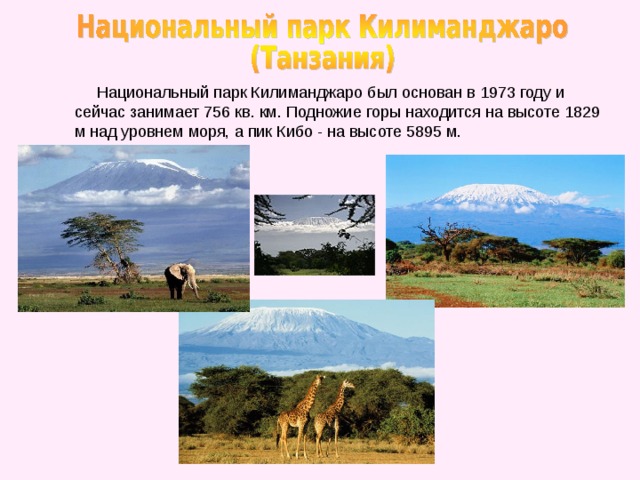 Национальный парк Килиманджаро был основан в 1973 году и сейчас занимает 756 кв. км. Подножие горы находится на высоте 1829 м над уровнем моря, а пик Кибо - на высоте 5895 м.
