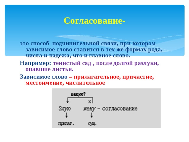 Характеристика подчинительной связи