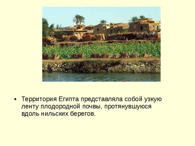 Территория Египта представляла собой узкую ленту плодородной почвы, протянувшуюся вдоль нильских берегов.