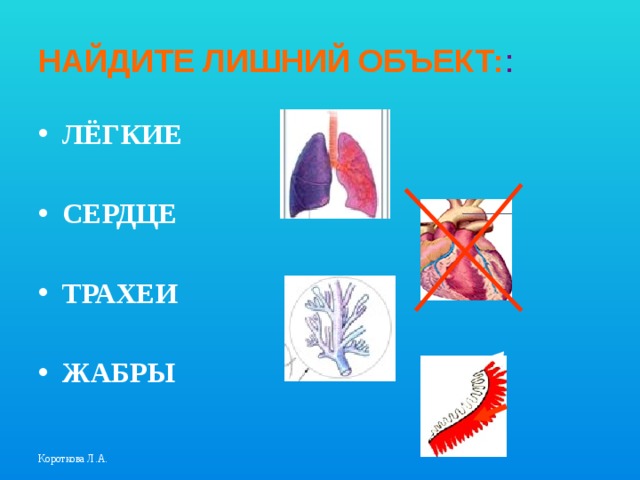 Организм как единое целое 6 класс презентация