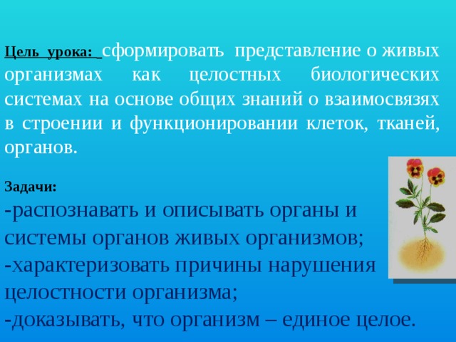 Презентация организм как единое целое 6 класс сонин