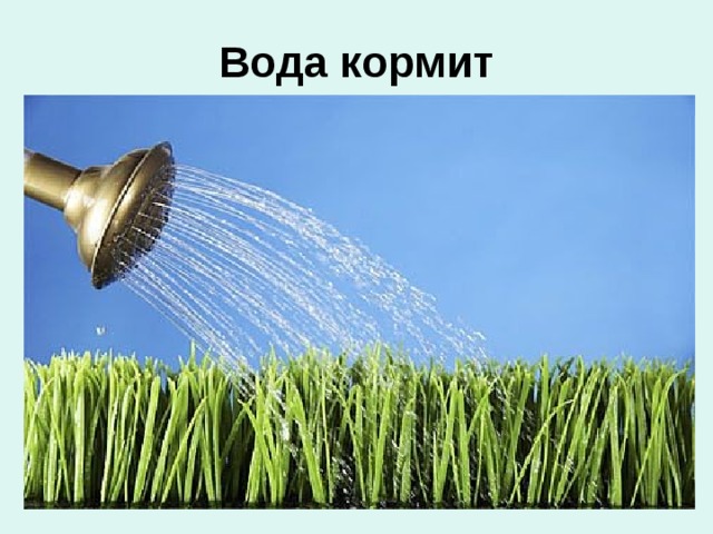 Вода кормит 