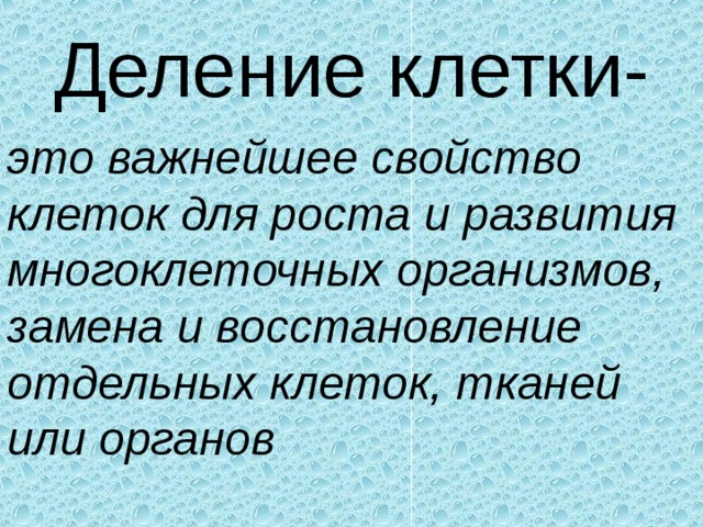 Презентация по теме деление клетки 10 класс