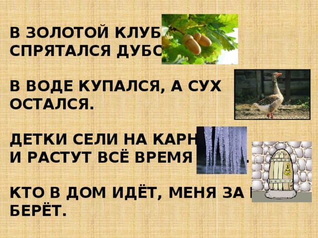 Загадка в золотом дубочке спрятался клубочек