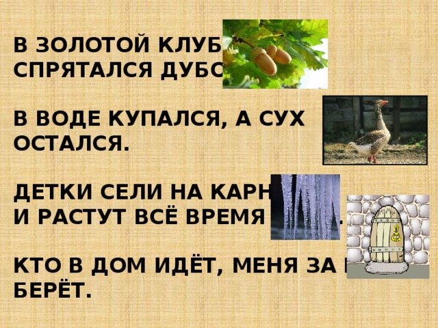 В золотой клубочек  Спрятался дубочек.   В воде купался, а сух остался.   Детки сели на карниз  И растут всё время вниз.   Кто в дом идёт, меня за руку берёт. 