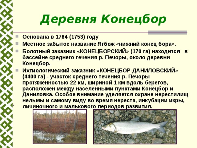 Деревня Конецбор Основана в 1784 (1753) году Местное забытое название Ягбож «нижний конец бора». Болотный заказник «КОНЕЦБОРСКИЙ» (170 га) находится в бассейне среднего течения р. Печоры, около деревни Конецбор. Ихтиологический заказник «КОНЕЦБОР-ДАНИЛОВСКИЙ» (4400 га) - участок среднего течения р. Печоры протяженностью 22 км, шириной 1 км вдоль берегов, расположен между населенными пунктами Конецбор и Даниловка. Особое внимание уделяется охране нерестилищ нельмы и самому виду во время нереста, инкубации икры, личиночного и малькового периодов развития. 