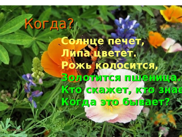 Солнце печет липа цветет рожь колосится золотится пшеница кто скажет кто знает когда это бывает