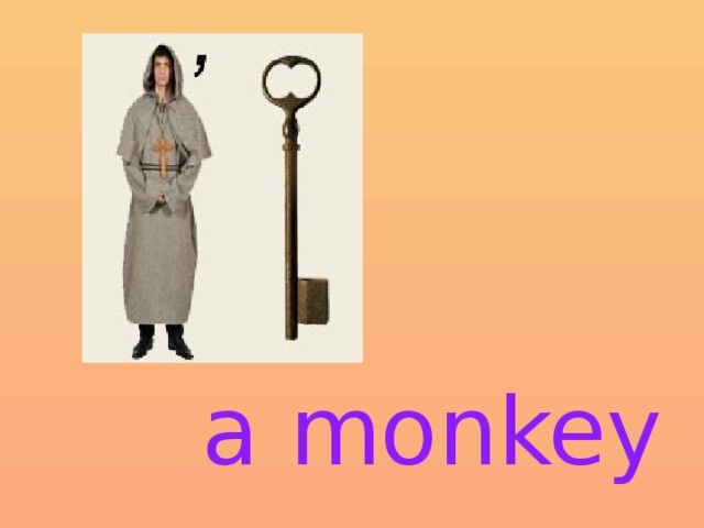     a monkey 