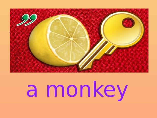 a monkey 