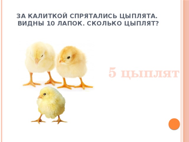 За калиткой спрятались цыплята.  Видны 10 лапок. Сколько цыплят? 5 цыплят 