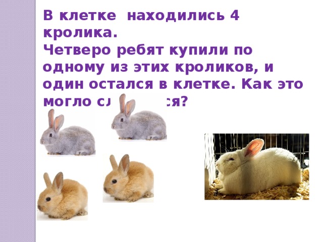В клетке находились 4 кролика. Четверо ребят купили по одному из этих кроликов, и один остался в клетке. Как это могло случиться?  Один мальчик купил кролика вместе с клеткой.  