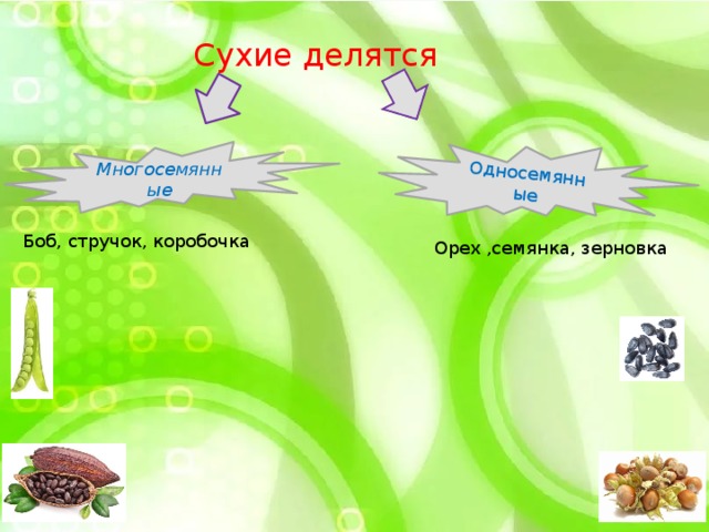 Односемянные Сухие делятся Многосемянные Боб, стручок, коробочка Орех ,семянка, зерновка 