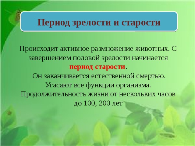 Презентация периодизация и продолжительность жизни животных 7 класс презентация