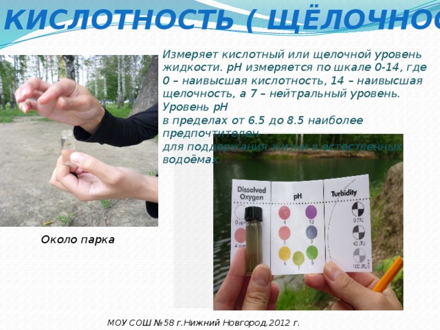 (Pн) кислотность ( щёлочность) Измеряет кислотный или щелочной уровень жидкости. pH измеряется по шкале 0-14, где 0 – наивысшая кислотность, 14 – наивысшая щелочность, а 7 – нейтральный уровень. Уровень pH в пределах от 6.5 до 8.5 наиболее предпочтителен для поддержания жизни в естественных водоёмах. Около парка МОУ СОШ №58 г.Нижний Новгород,2012 г. 