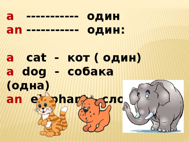 a ----------- один an ----------- один:   a cat - кот ( один) a dog - собака (одна) an elephant – слон 