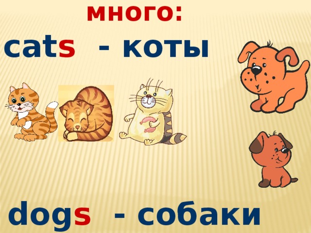  много: cat s - коты    dog s - собаки 