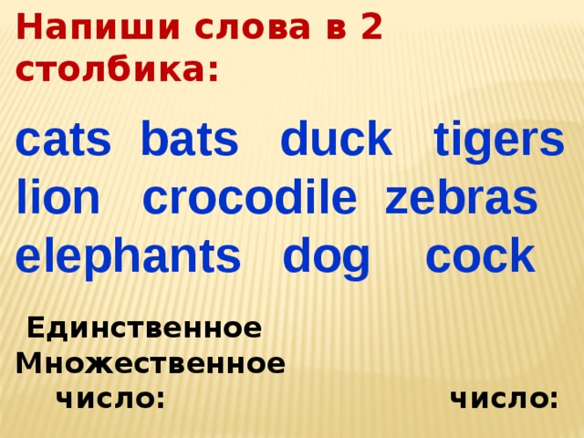 Напиши слова в 2 столбика:  cats bats duck tigers lion crocodile zebras elephants dog cock   Единственное Множественное  число: число:         