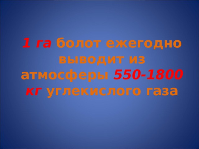 1 га болот ежегодно выводит из атмосферы 550-1800 кг углекислого газа 