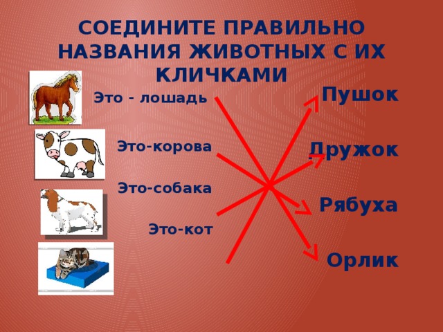 Клички животных русский язык