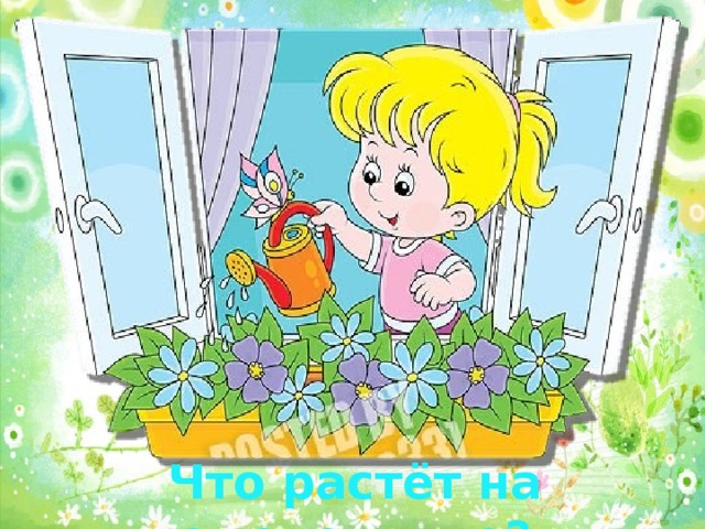 Что растёт на подоконнике? 