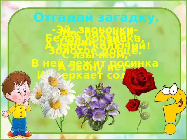 Отгадай загадку. -Эй, звоночки- Синий цвет- С язычком, А звону нет! Лик пахучий, А хвост колючий! Белая корзинка, Золотое донце. В ней лежит росинка И сверкает солнце. 