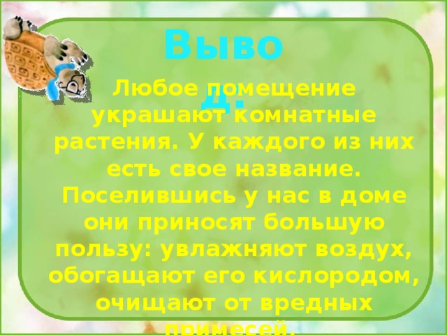 Вывод: Любое помещение украшают комнатные растения. У каждого из них есть свое название. Поселившись у нас в доме они приносят большую пользу: увлажняют воздух, обогащают его кислородом, очищают от вредных примесей. 