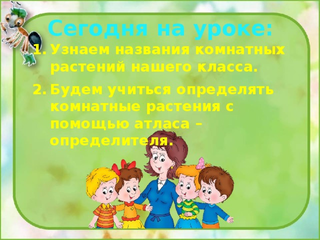 Сегодня на уроке: Узнаем названия комнатных растений нашего класса. Будем учиться определять комнатные растения с помощью атласа – определителя. 
