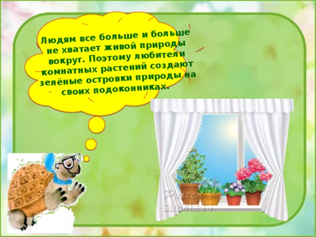 Что растет на подоконнике 1. Презентация что растет на подоконнике. Презентация опрос что растет на подоконнике. Презентация что у нас на подоконнике 1 класс окружающий мир. Что растет на подоконнике окружающий мир 1 класс презентация.