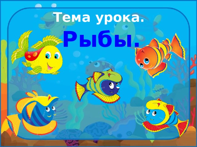 Урок рыбы. Рыбы урок. Английский тема урока рыбы. Что изменилось тема рыбы. Ребенок принёс рыбу на урок.