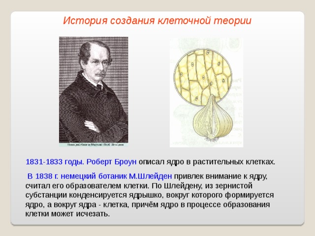 История создания клеточной теории 1831-1833 годы. Роберт Броун описал ядро в растительных клетках.  В 1838 г. немецкий ботаник М.Шлейден привлек внимание к ядру, считал его образователем клетки. По Шлейдену, из зернистой субстанции конденсируется ядрышко, вокруг которого формируется ядро, а вокруг ядра - клетка, причём ядро в процессе образования клетки может исчезать. 