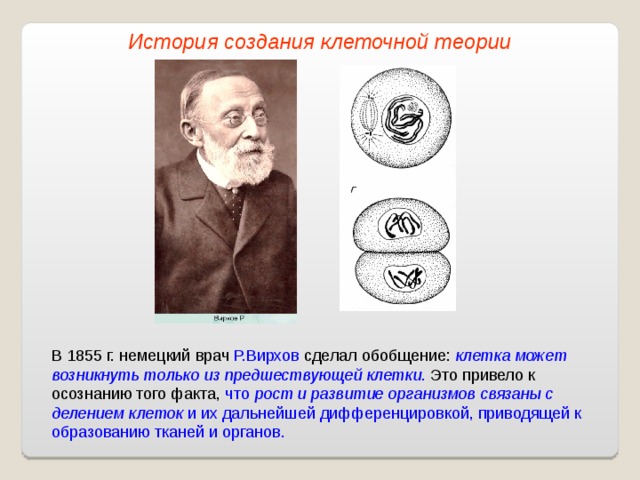 История создания клеточной теории В 1855 г. немецкий врач Р.Вирхов сделал обобщение: клетка может возникнуть только из предшествующей клетки . Это привело к осознанию того факта, что рост и развитие организмов связаны с делением клеток и их дальнейшей дифференцировкой, приводящей к образованию тканей и органов. 