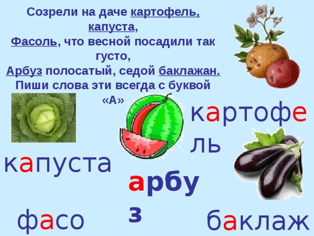 Схема слова картофель