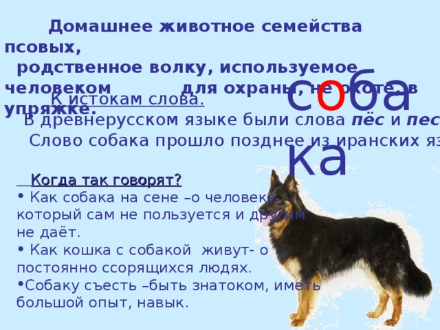 Проект о слове собака. Текст про собаку. Предложение к слову собака. Проект по русскому языку 3 класс рассказ о слове собака.