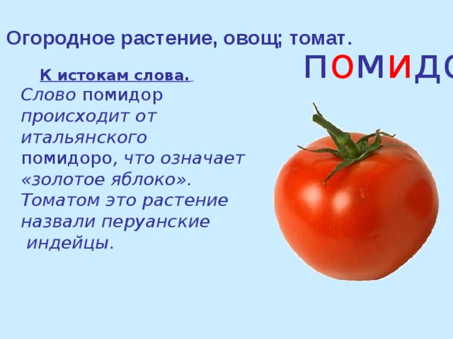 Обозначение слова овощ. Слово помидор. Томат словарное слово. Происхождение слова помидор. Помидор текст.